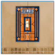 Illinois Fighting Illini - Single Art Glass Light Switch Cover